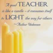Quote - a good teacher ...
